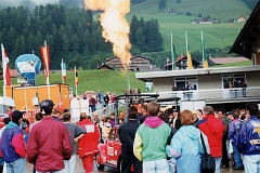 Coccinelle-montgolfiere - Cox Ballon (96)